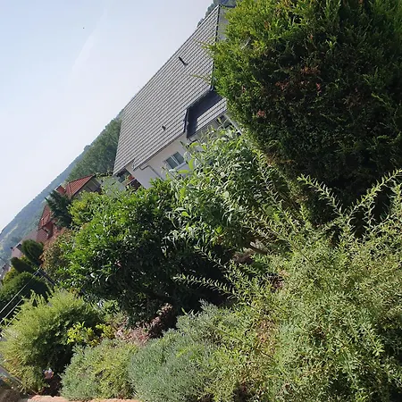 Zwischen Frankfurt Und Wuerzburg Im Schoenen Odenwald * 오베룬부르크암마인